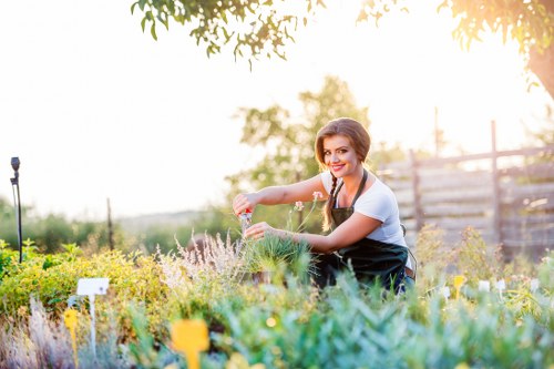 Professional garden clearance services in a Kilburn backyard