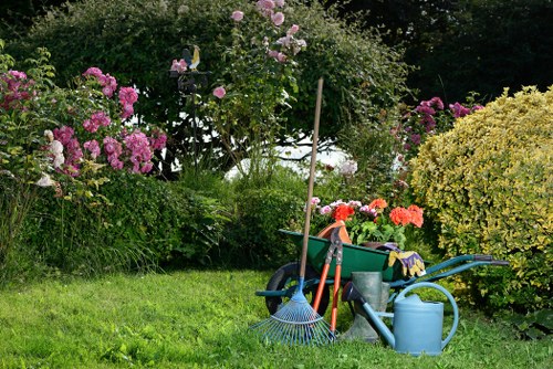 Professional lawn mowing in a Kilburn garden