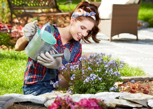 Choosing the right tree service provider in Kilburn