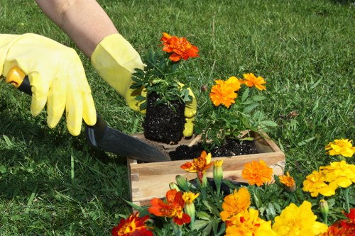 Professional landscapers working in Kilburn