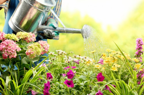 Comprehensive garden clearing process by experts
