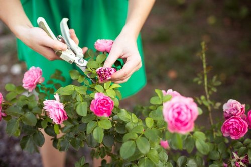 Seasonal lawn care activities in Kilburn