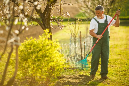 Professional pruning and trimming in Kilburn garden